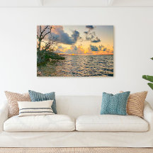 フロリダ鍵サンセットマングローブ海シーン