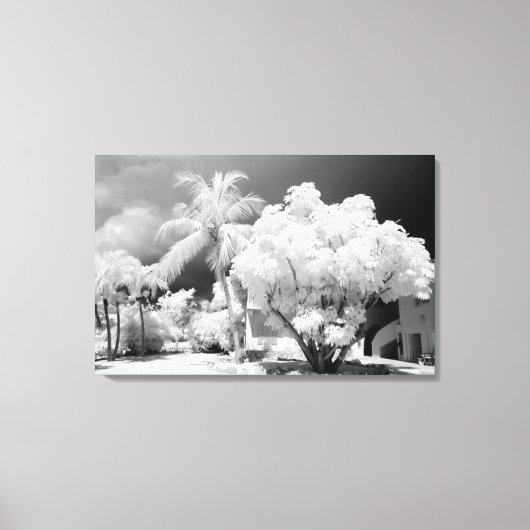 フロリダ鍵ズハウスとそのヤシの木,アメリカ。 2 キャンバスプリント (正面)
