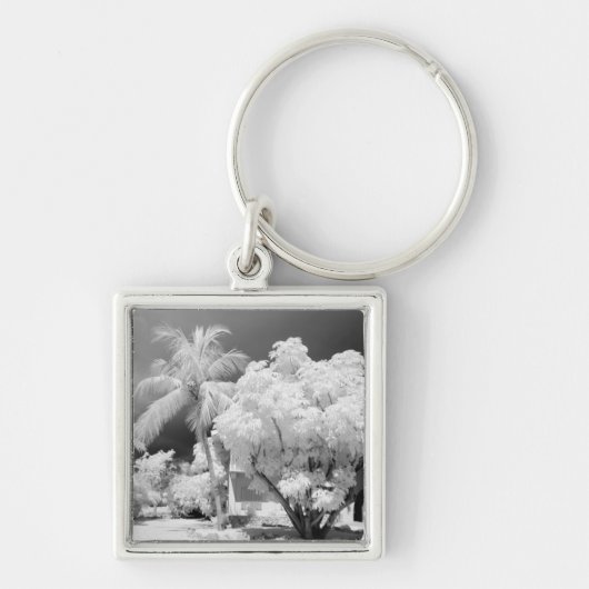 フロリダ鍵ズハウスとそのヤシの木，アメリカ。 2 キーホルダー (正面)