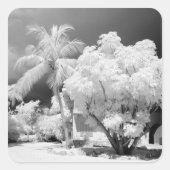 フロリダ鍵ズハウスとそのヤシの木,アメリカ。 2 スクエアシール (正面)