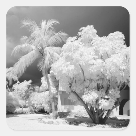 フロリダ鍵ズハウスとそのヤシの木，アメリカ。 2 スクエアシール (正面)