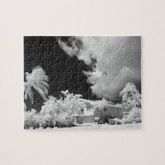 フロリダ鍵ズハウスとアメリカ合衆国のヤシの木。 ジグソーパズル (横)