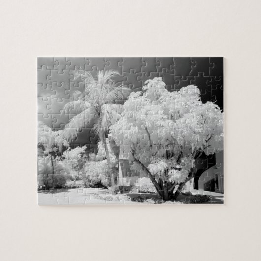 フロリダ鍵ズハウスとアメリカ合衆国のヤシの木。2 ジグソーパズル (横)