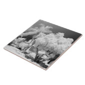 フロリダ鍵ズハウスとアメリカ合衆国のヤシの木。2 タイル (側面)