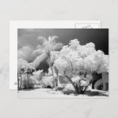 フロリダ鍵ズハウスとアメリカ合衆国のヤシの木。2 ポストカード (正面/裏面)