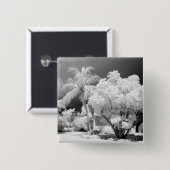 フロリダ鍵ズハウスとアメリカ合衆国のヤシの木。2 缶バッジ (正面&裏面)