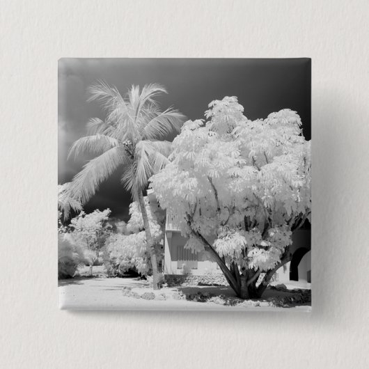 フロリダ鍵ズハウスとアメリカ合衆国のヤシの木。2 缶バッジ (正面)