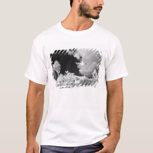 フロリダ鍵ズハウスとアメリカ合衆国のヤシの木。 Tシャツ (正面)