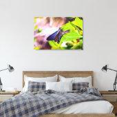 フロリダ鍵ズバイアホンダブルーバタフライ キャンバスプリント (インサイチュ (寝室))