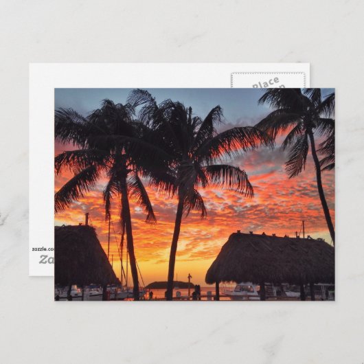 フロリダ鍵熱帯の夕日 ポストカード (正面/裏面)