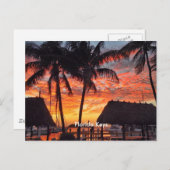 フロリダ鍵熱帯の夕日 ポストカード (正面/裏面)