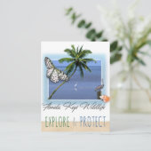 フロリダ鍵野生生物 ポストカード (スタンド正面)