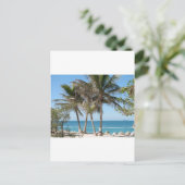 フロリダ鍵 ポストカード (スタンド正面)