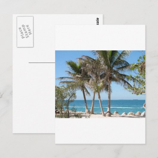 フロリダ鍵 ポストカード (正面/裏面)