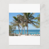 フロリダ鍵 ポストカード (正面)