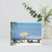 フロリダ鍵 ポストカード (スタンド正面)