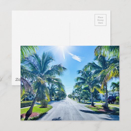 フロリダ鍵 ポストカード (正面/裏面)