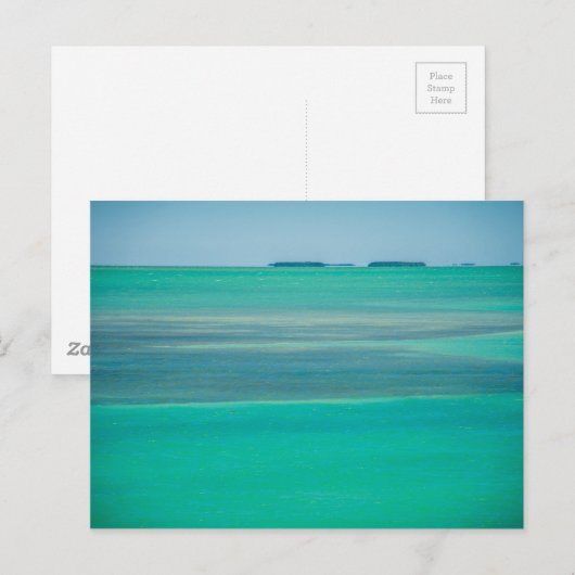 フロリダ鍵 ポストカード (正面/裏面)