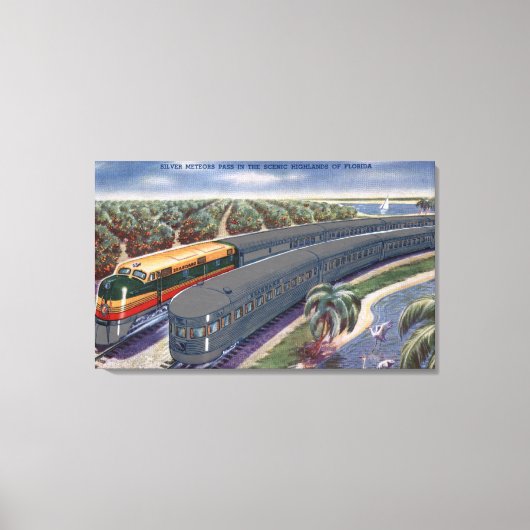 フロリダ高地の銀流星「船」 キャンバスプリント (正面)