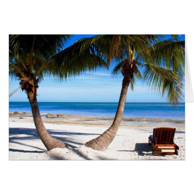 フロリダ (正面横)