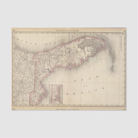 フロリダ10 薄葉紙 (正面)