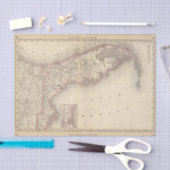 フロリダ10 薄葉紙 (クラフト)