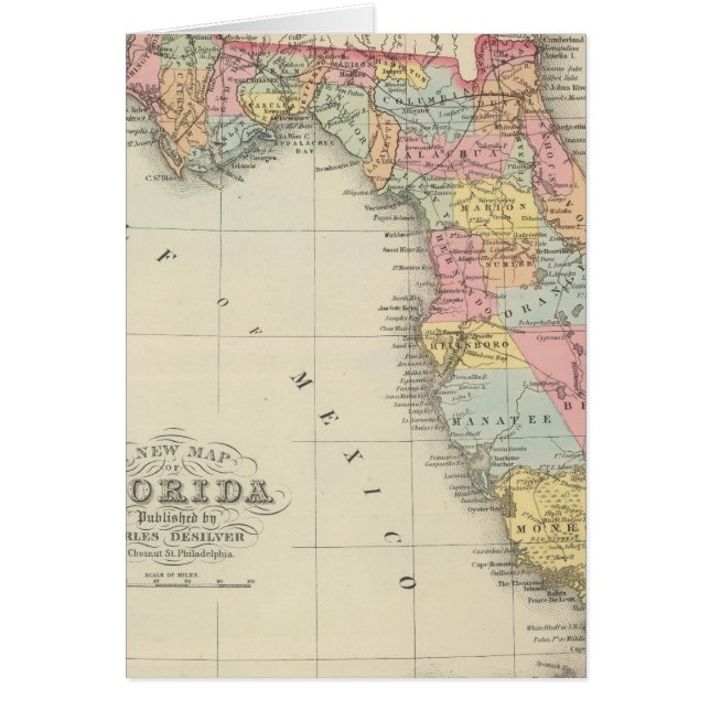 フロリダ13 (正面)