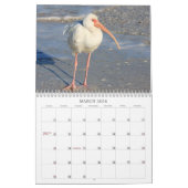 フロリダ2012年の海鳥 カレンダー (3月 2026)