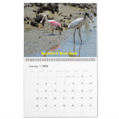 フロリダ2024カレンダーの印象 カレンダー (1月 2026)