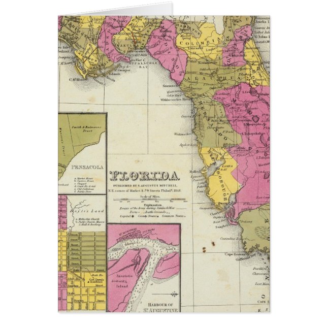 フロリダ4 (正面)