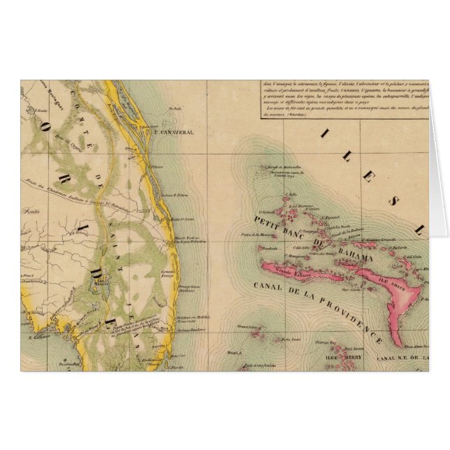 フロリダ62 (正面横)