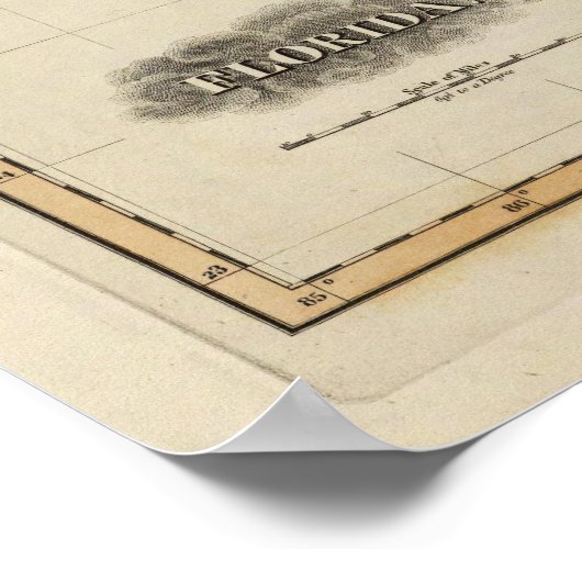 フロリダ6 ポスター (角)