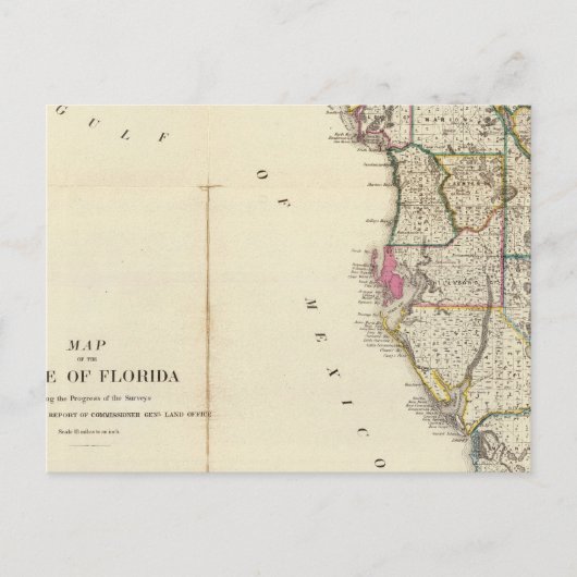 フロリダ8 ポストカード (正面)