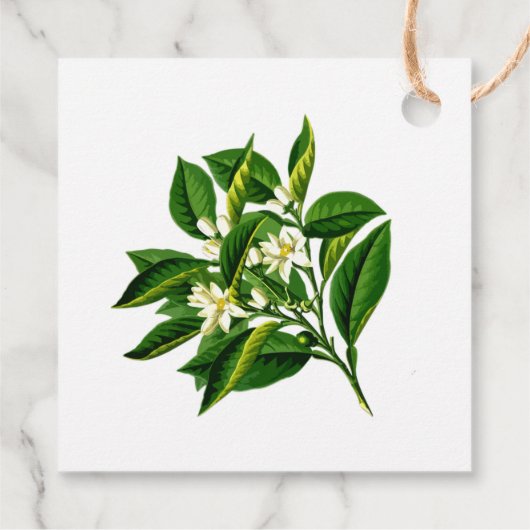 フロリダ オレンジ&ブラッサム オーダーメイド フェイバータグ (裏面)