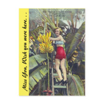 フロリダ「サンシャインシティ」