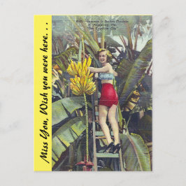 フロリダ「サンシャインシティ」 ポストカード