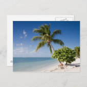 フロリダ - ソンブレロビーチのポストカード ポストカード (正面/裏面)