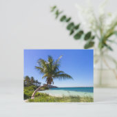 フロリダ – バヒア本田葉書 ポストカード (スタンド正面)