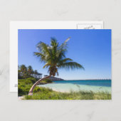 フロリダ – バヒア本田葉書 ポストカード (正面/裏面)