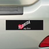 フロリダ バンパーステッカー (車上)