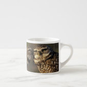 フロリダ、フォートマイヤーズ。穴掘りフクロウ対ボンディング エスプレッソカップ (右)