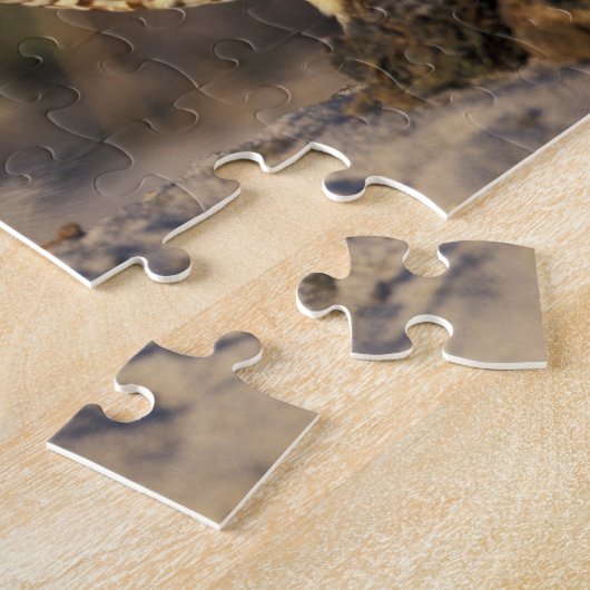 フロリダ、フォートマイヤーズ。穴掘りフクロウ対ボンディング ジグソーパズル (側面)