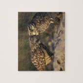 フロリダ、フォートマイヤーズ。穴掘りフクロウ対ボンディング ジグソーパズル (縦)