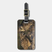 フロリダ、フォートマイヤーズ。穴掘りフクロウ対ボンディング ラゲッジタグ (正面縦)