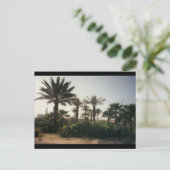 フロリダ ポストカード (スタンド正面)