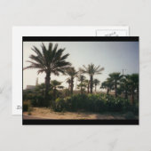 フロリダ ポストカード (正面/裏面)