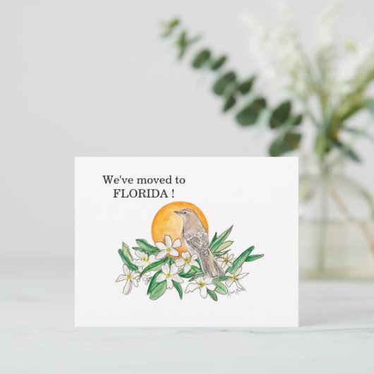 フロリダ ポストカード (スタンド正面)