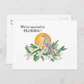 フロリダ ポストカード (正面/裏面)