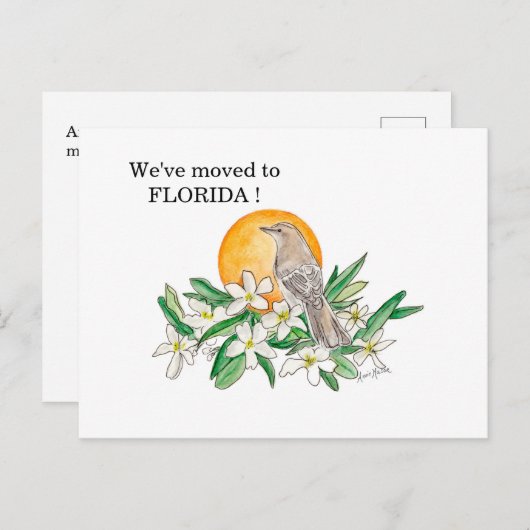 フロリダ ポストカード (正面/裏面)