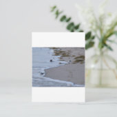 フロリダ ポストカード (スタンド正面)